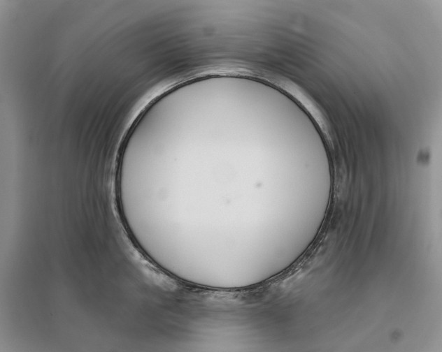 X0000096710861200802261627