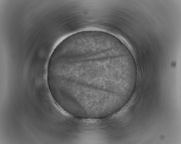 X0000096710862200802261627