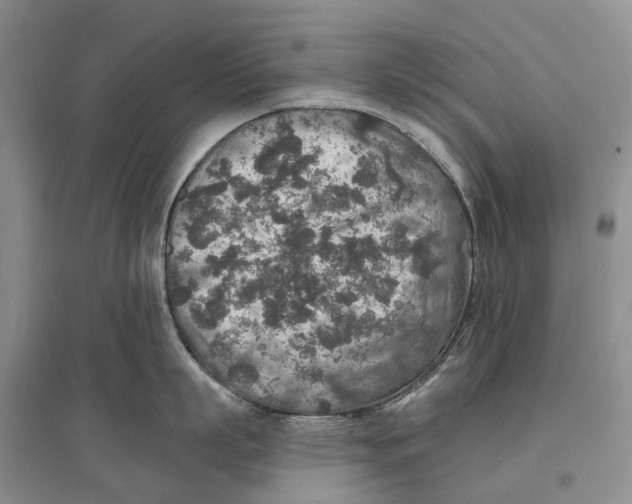 X0000096710863200802261627