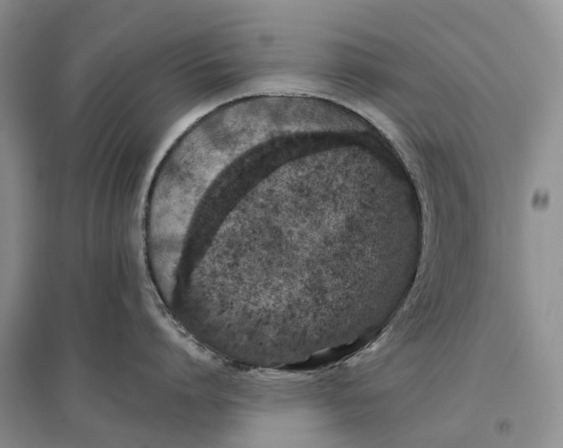 X0000096710864200802261627