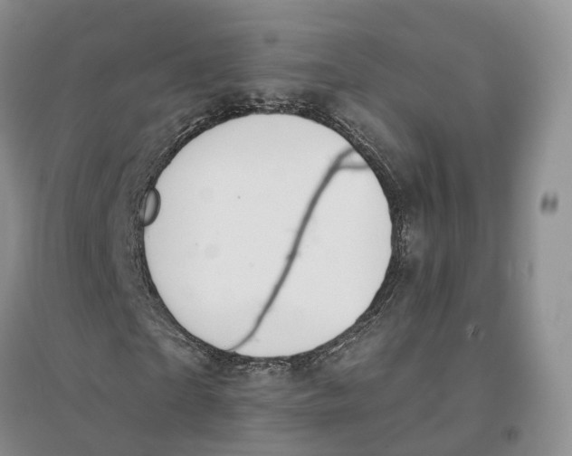 X0000096710865200802261627