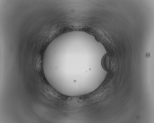 X0000096710866200802261627