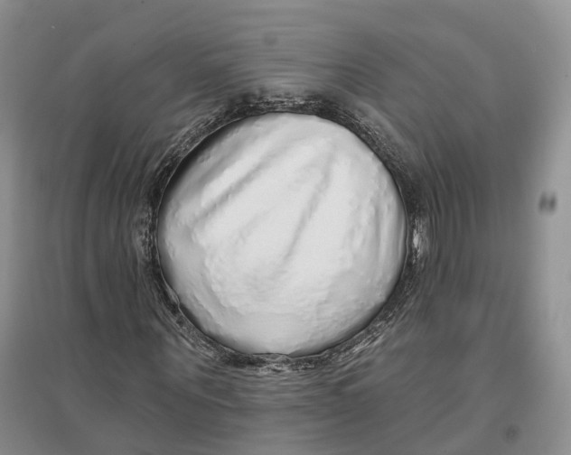 X0000096710867200802261627