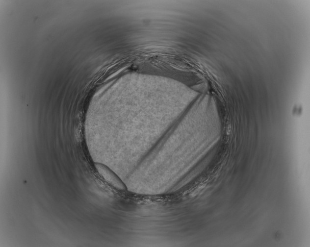 X0000096710868200802261627