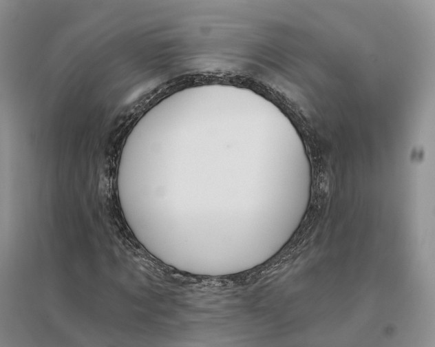 X0000096710869200802261627