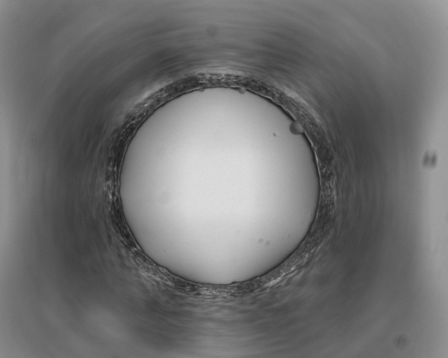 X0000096710870200802261627