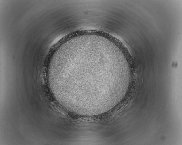 X0000096710871200802261627