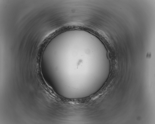 X0000096710872200802261627