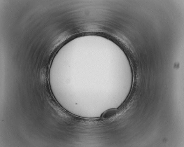 X0000096710873200802261627