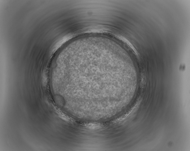 X0000096710874200802261627