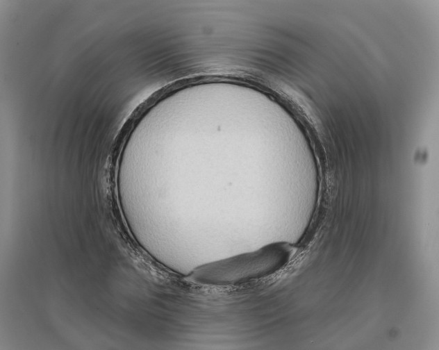 X0000096710875200802261627