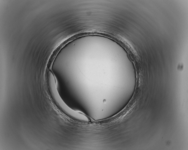 X0000096710876200802261627