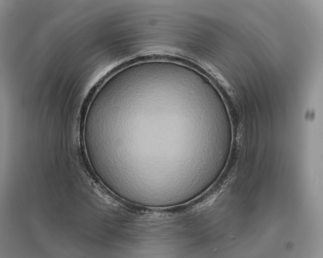 X0000096710877200802261627