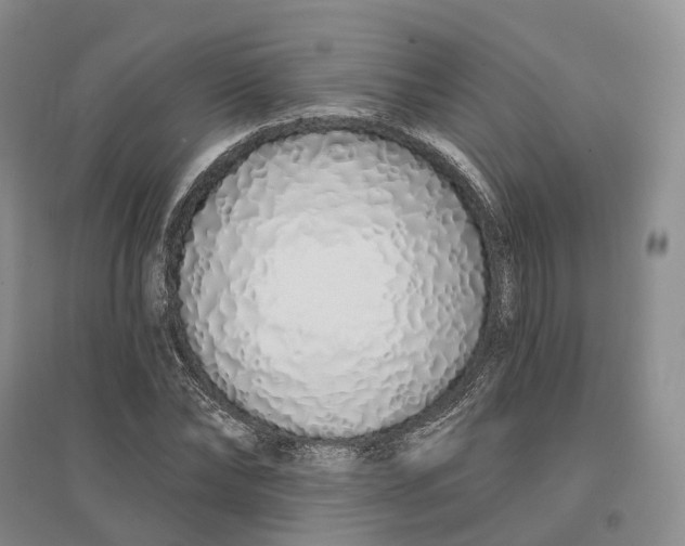 X0000096710878200802261627