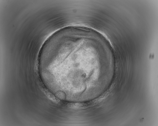 X0000096710879200802261627