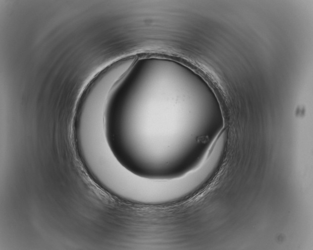 X0000096710880200802261626