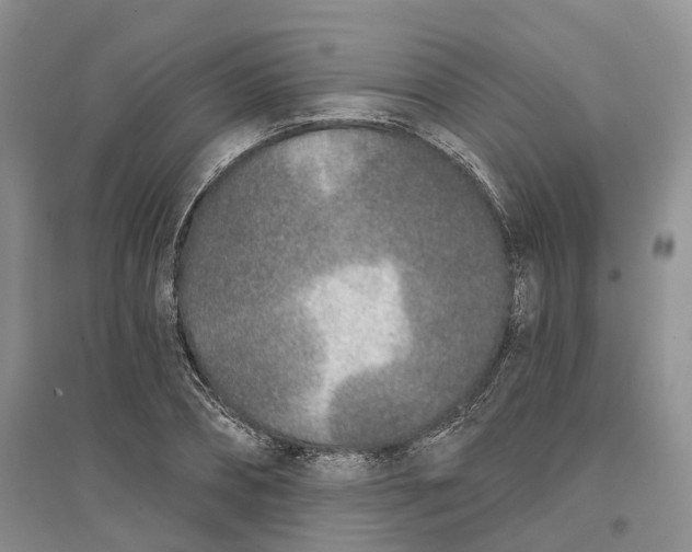 X0000096710882200802261626