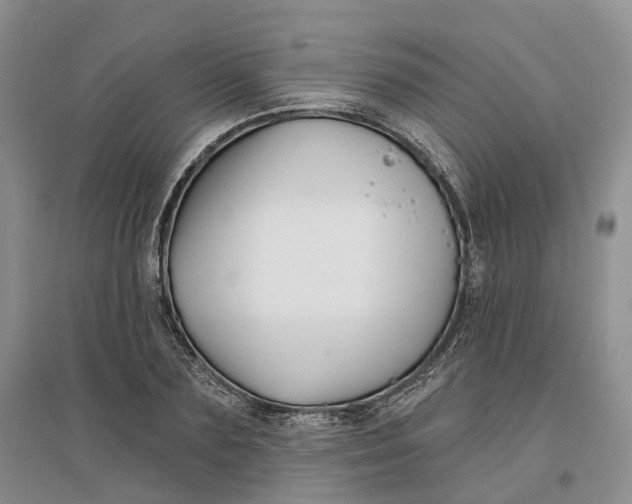 X0000096710883200802261626