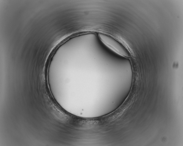 X0000096710884200802261626