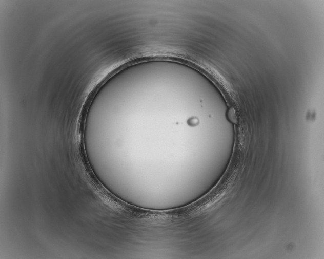 X0000096710885200802261626