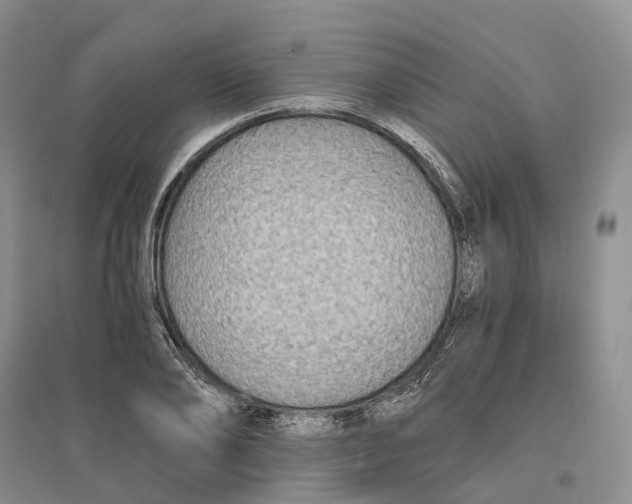 X0000096710886200802261626