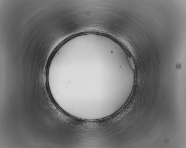 X0000096710888200802261626