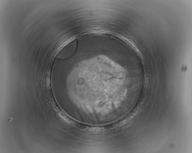 X0000096710889200802261626