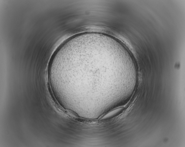 X0000096710891200802261626