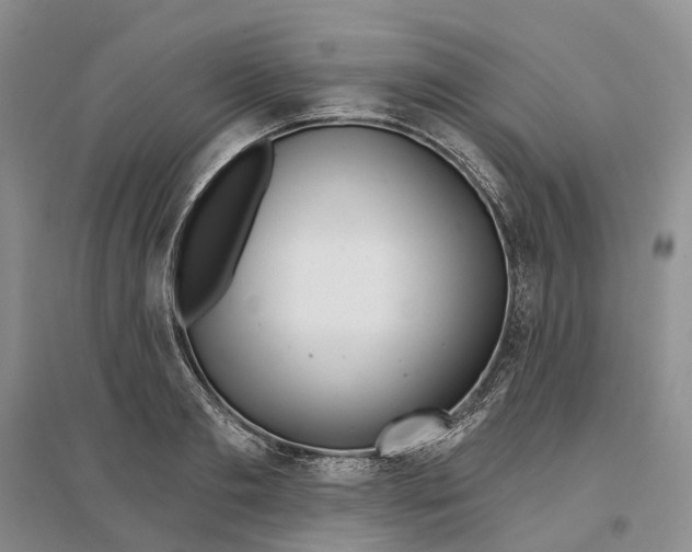 X0000096710893200802261626