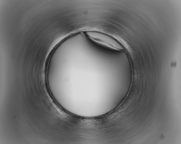 X0000096710894200802261626