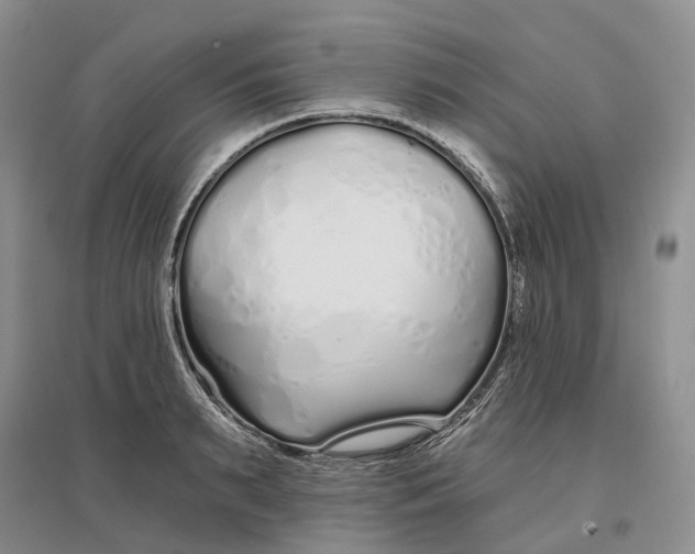 X0000096710895200802261626