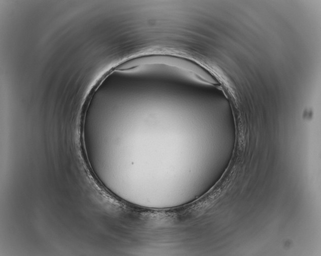 X0000096710896200802261626