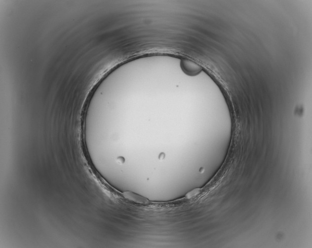 X0000096710898200802261626