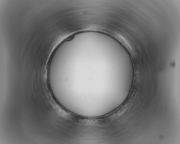 X0000096710900200802261626