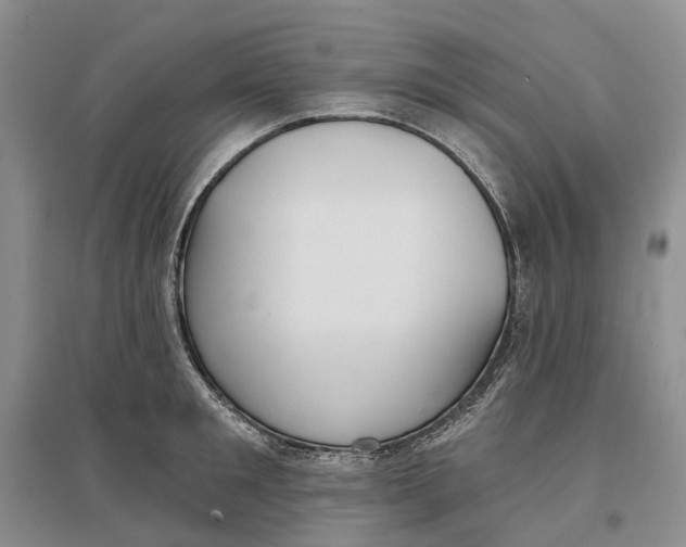 X0000096710901200802261626