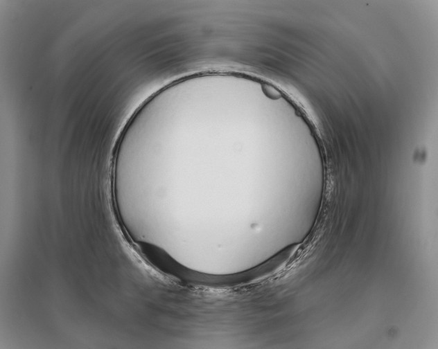 X0000096710903200802261626