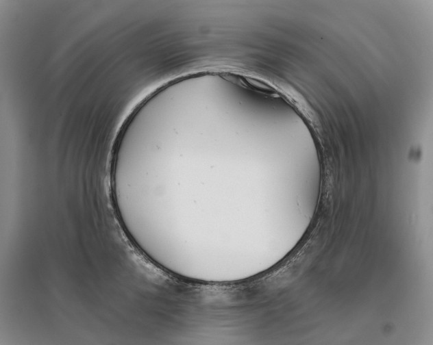 X0000096710904200802261626