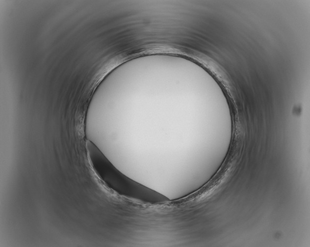 X0000096710905200802261626