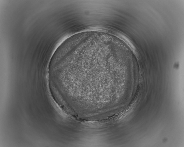 X0000096710907200802261626