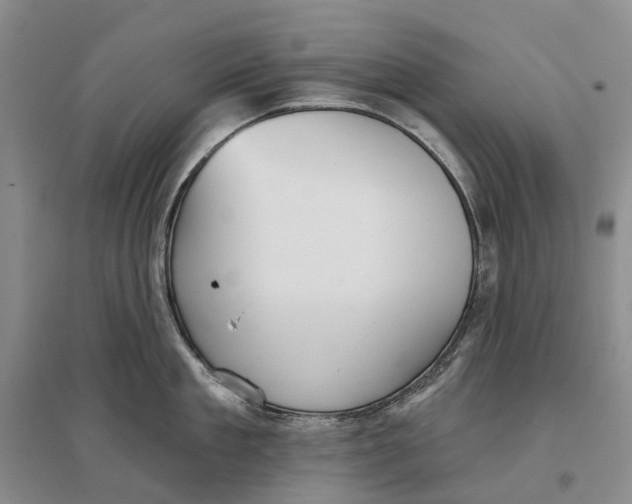 X0000096710909200802261626