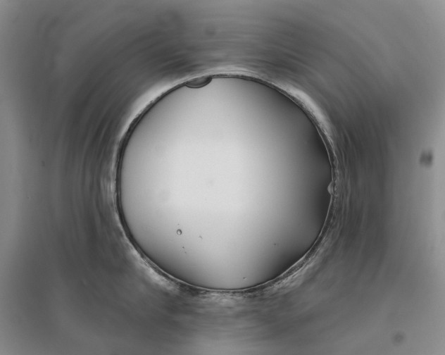 X0000096710910200802261626