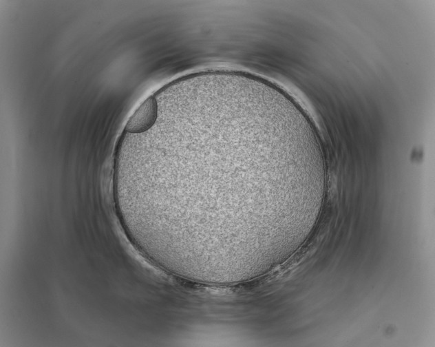 X0000096710911200802261626