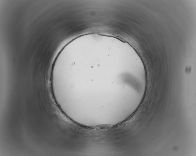 X0000096710912200802261626