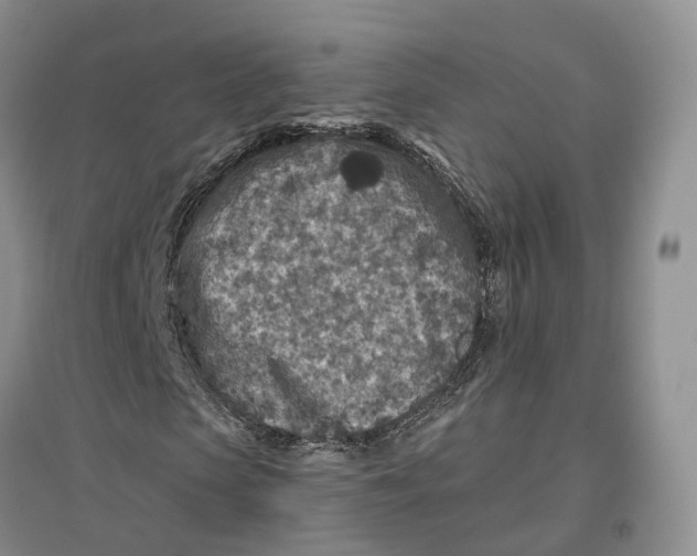 X0000096710913200802261625