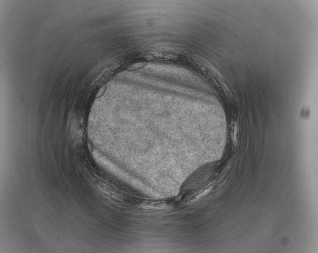 X0000096710915200802261625