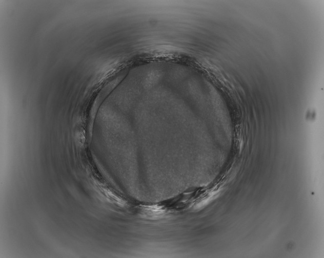 X0000096710916200802261625