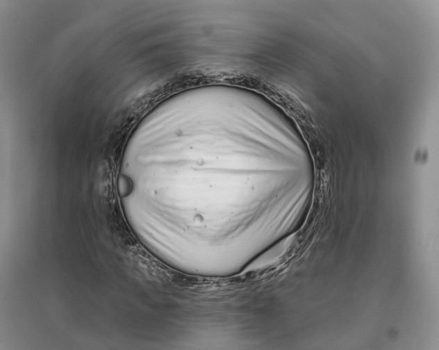 X0000096710917200802261625