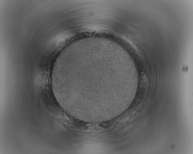 X0000096710918200802261625