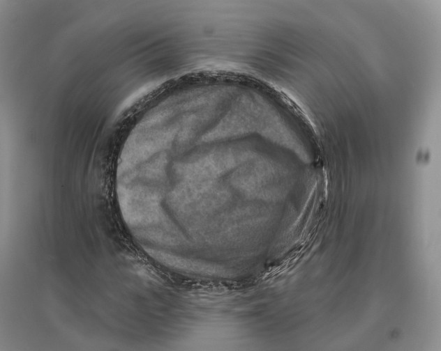 X0000096710919200802261625