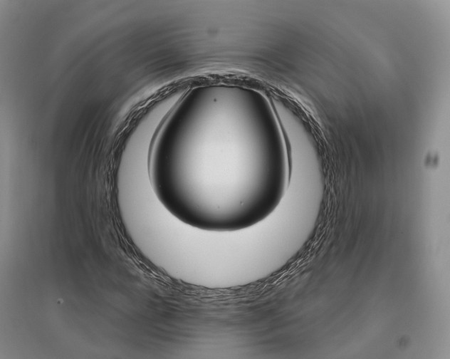 X0000096710920200802261625